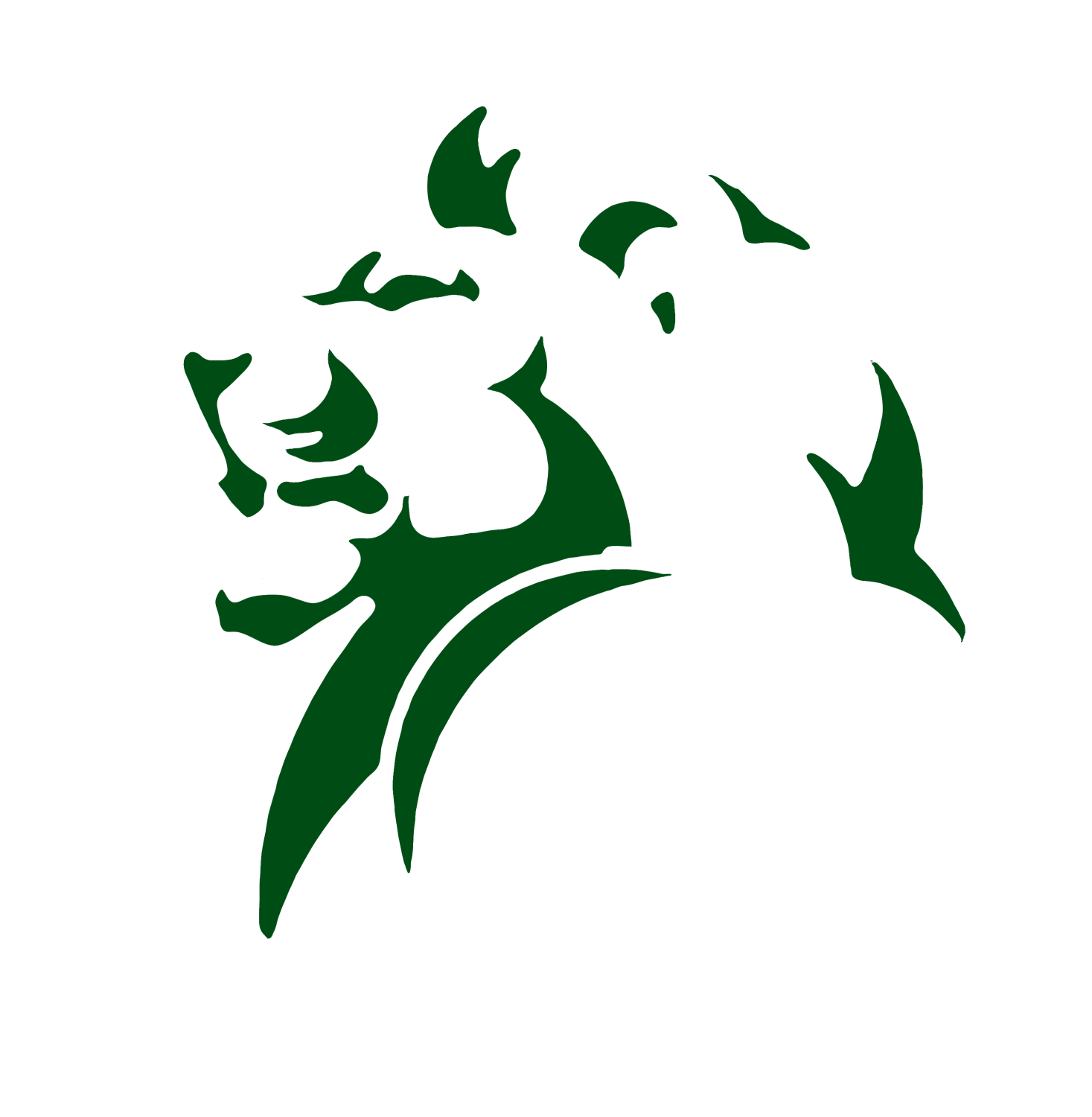 Team Galleries Longfellow Lions